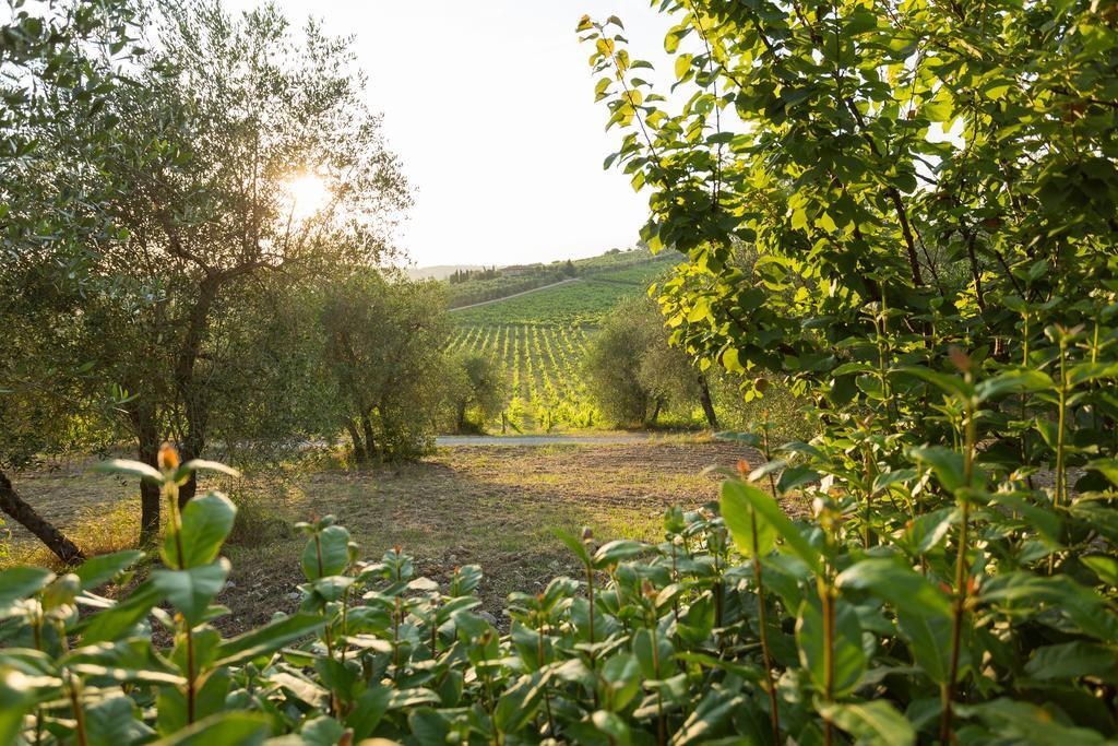 Tenuta Di Monaciano Ponte A Bozzone
