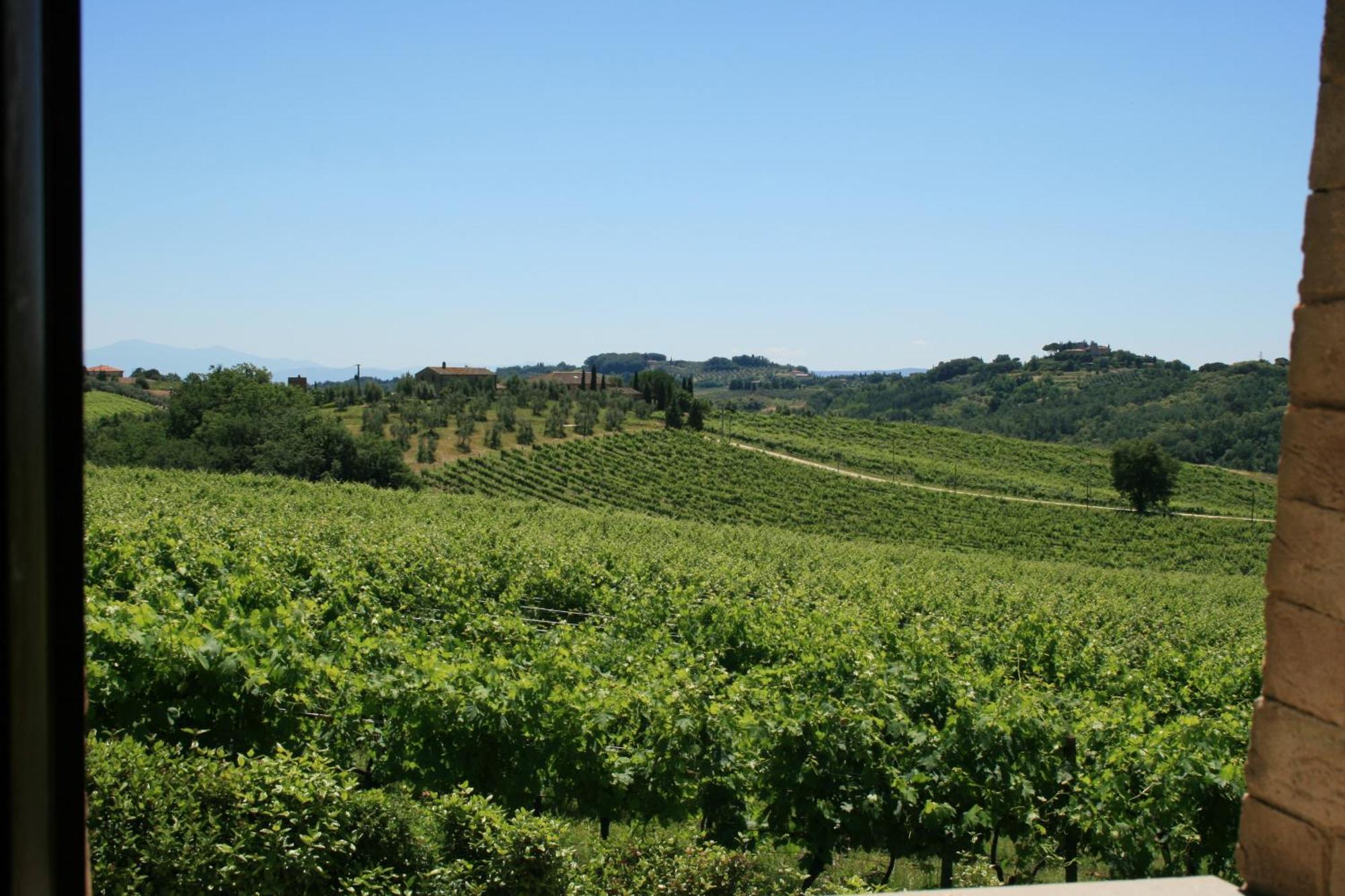 Tenuta Di Monaciano * Ponte A Bozzone