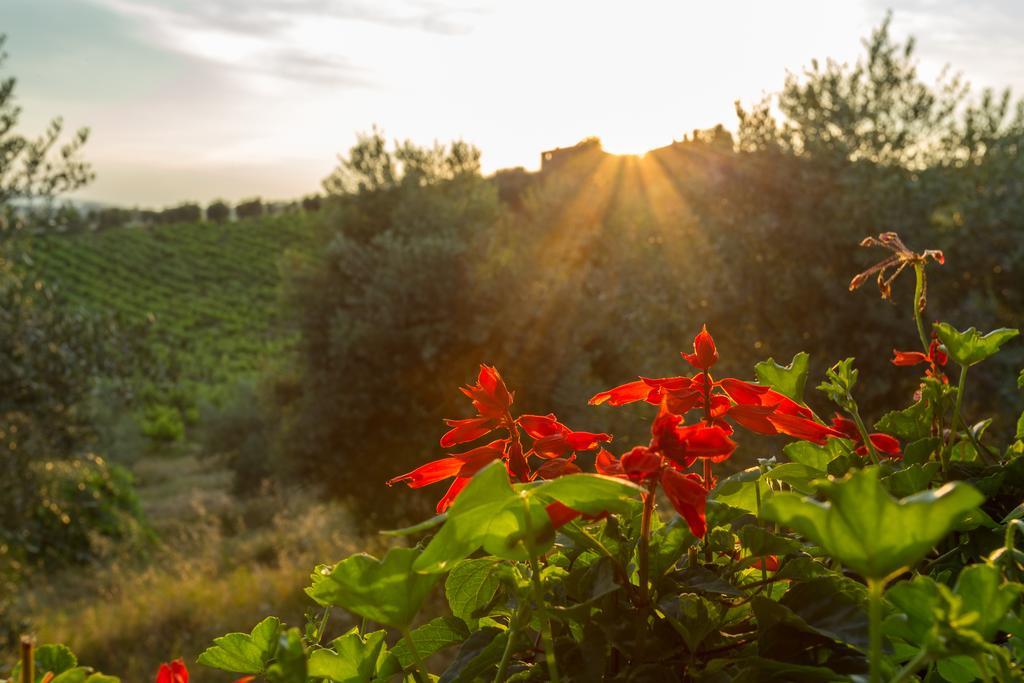Séjour à la ferme Tenuta Di Monaciano