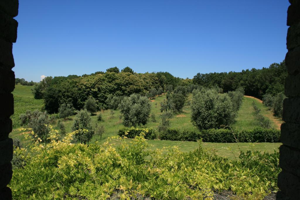 Tenuta Di Monaciano