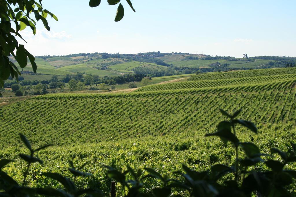 Séjour à la ferme Tenuta Di Monaciano *
