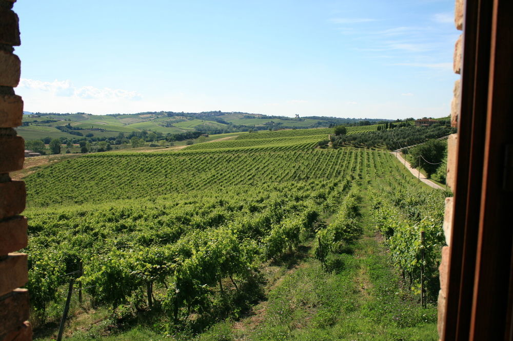 Tenuta Di Monaciano Séjour à la ferme Ponte A Bozzone