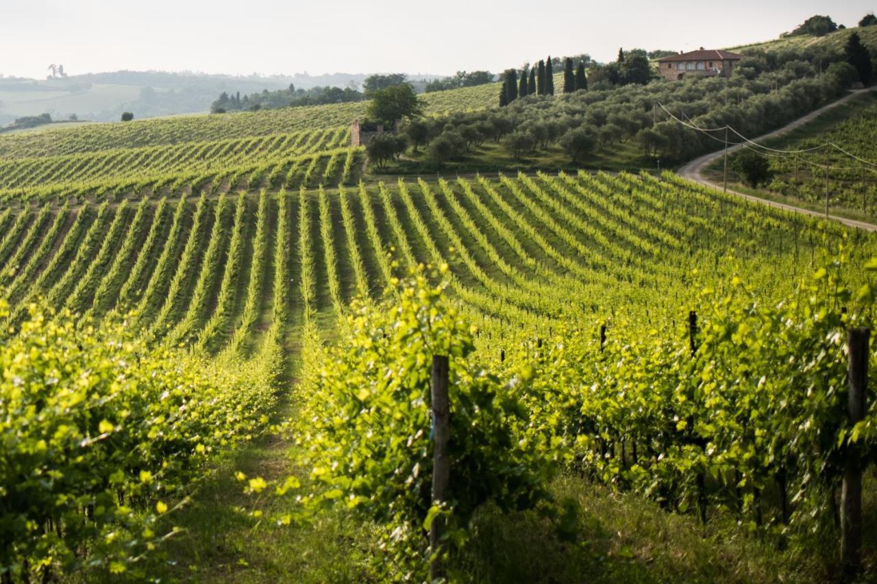 Tenuta Di Monaciano Ponte A Bozzone